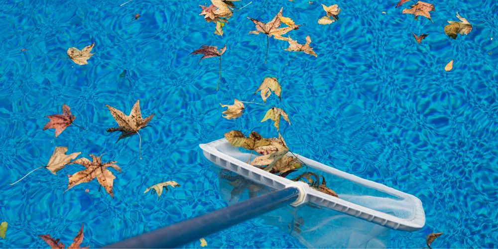 red de limpieza recogiendo hojas de árboles en el agua de la piscina