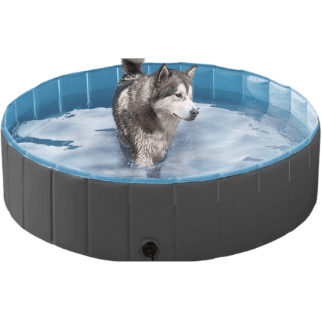 Piscina para perros plegable