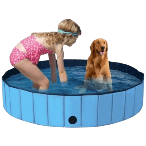 Piscina para perros